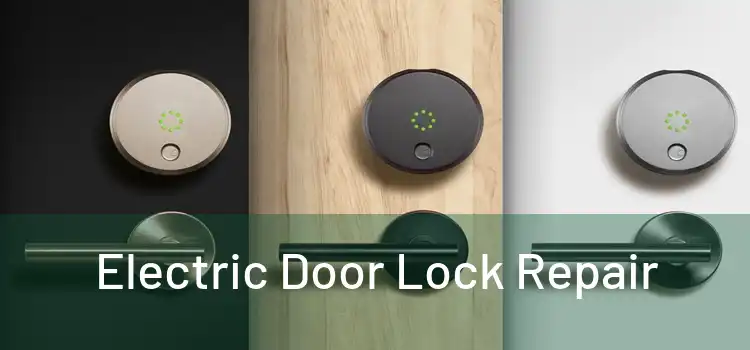 Electric Door Lock Repair